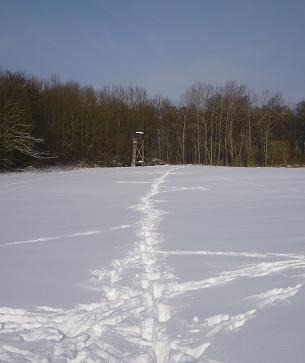 Katastrophensitz im Schnee Feb 10