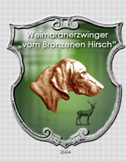zur&uuml;ck zur Startseite