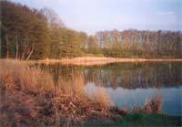 See mit Park in Lübzin